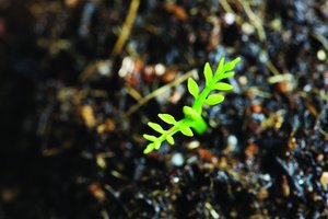 方案值得花时间学吗